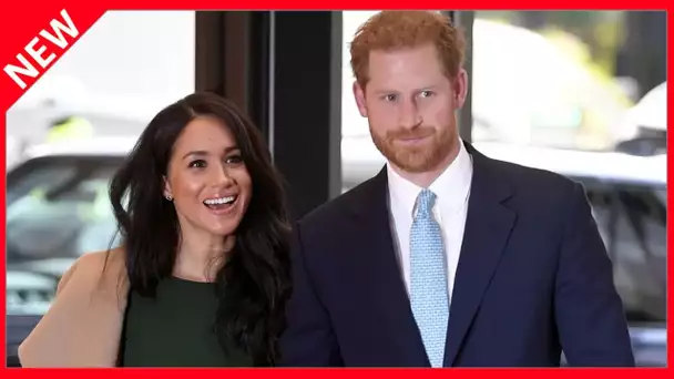 ✅  Meghan Markle et Harry interviewés par Oprah Winfrey : un exercice de pure complaisance ?