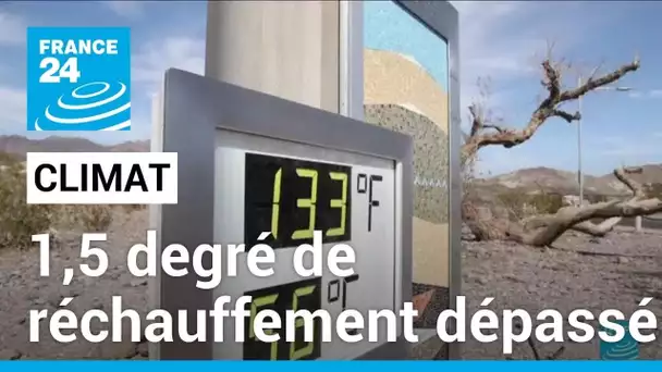 Climat : le monde dépasse 1,5 degré de réchauffement pendant 12 mois consécutifs • FRANCE 24