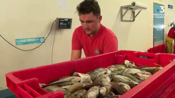 Coronavirus : les pêcheurs en mer reprennent leur activité à Noirmoutier