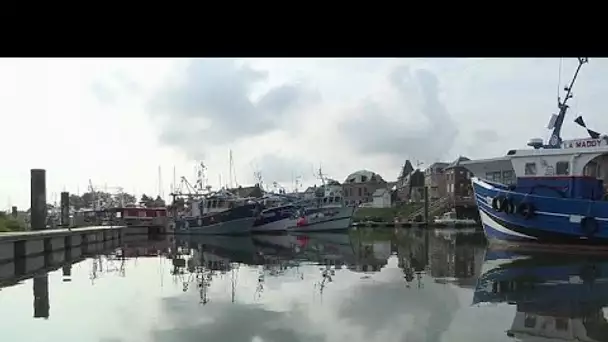 Guernesey interdit temporairement l'accès des pêcheurs français à ses eaux