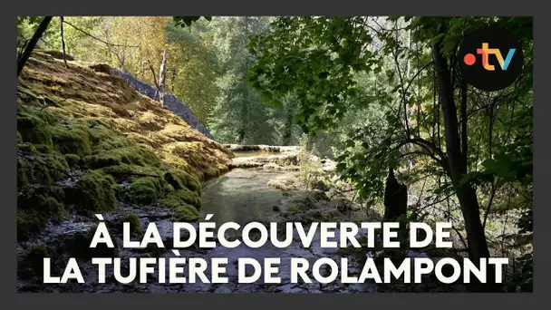 À la découverte de la tufière de Rolampont, un lieu naturel féérique