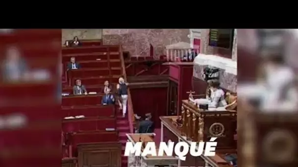 Agnès Thill, la députée (très) hostile à la PMA a loupé le vote d'un cheveux