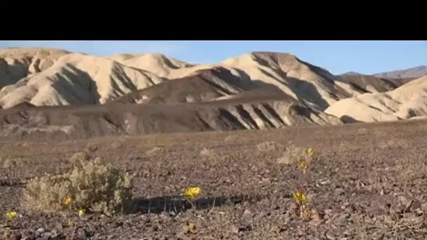 Record de chaleur dans la "Vallée de la mort"