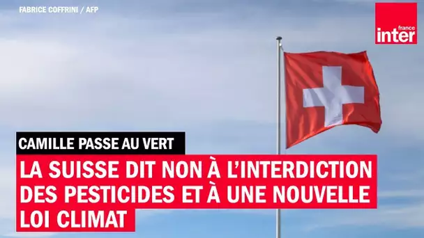 La Suisse dit non à l'interdiction des pesticides et à une nouvelle loi climat-Camille Passe au vert