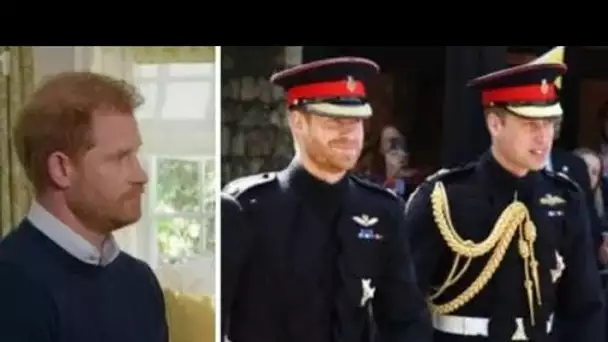 Harry affirme que William s'est disputé à propos de la barbe de mariage pendant UNE SEMAINE