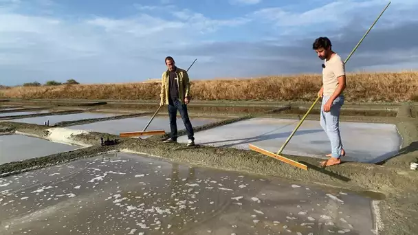 NoA-sur-Mer :  l'or des Marais