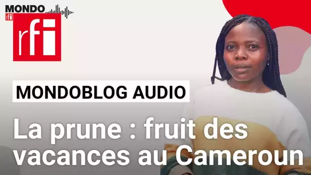 Cameroun : les vacances ne se font pas sans prunes • Mondoblog Audio • RFI