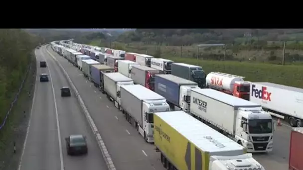 Pagaille à Douvres : les files d'attentes de camions ne désemplissent pas
