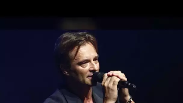 david hallyday il n'a jamais pu voir dans les yeux de son papa la fierté de le voir en concert.