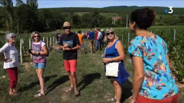 Rendez-vous chez vous à Saint-Gengoux-de-Cissé