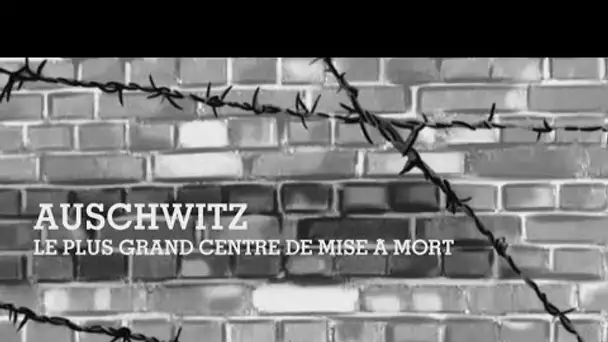 Auschwitz, le plus grand centre de mise à mort