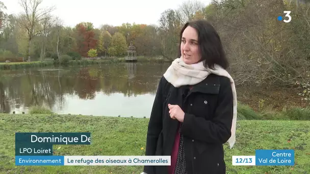 Environnement : le château de Chamerolles accueille plus de 53 espèces d'oiseaux