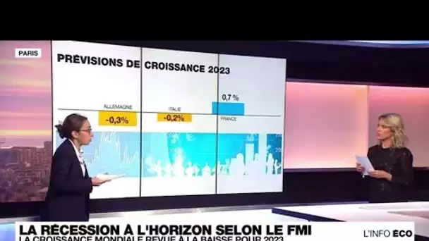 L'inflation et la guerre en Ukraine pèsent sur les perspectives de croissance mondiale • FRANCE 24