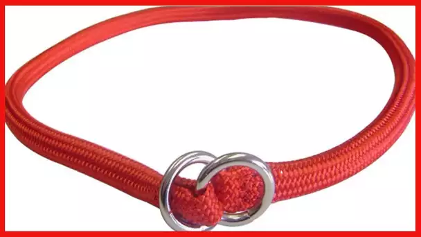 Hamilton 829 RD 5/16-Inch by 20-Inch Round Braided Choke Nylon Dog Collar, Red