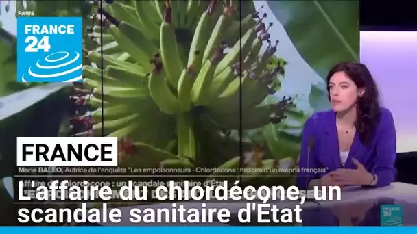 France : l'affaire du chlordécone aux Antilles françaises, un scandale sanitaire d'État