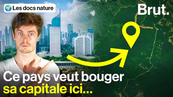 Une capitale futuriste géante… en pleine forêt ?!