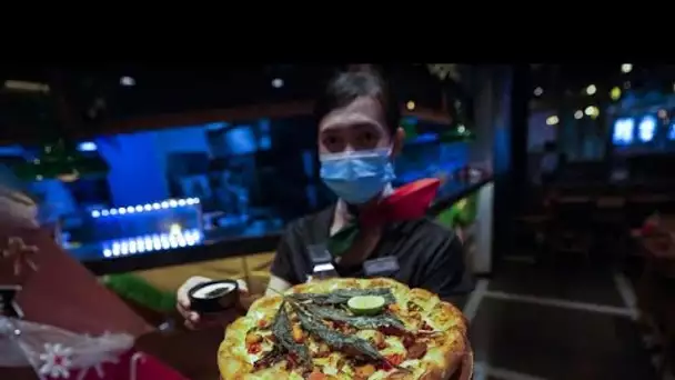 En Thaïlande, la pizza au cannabis fait fureur