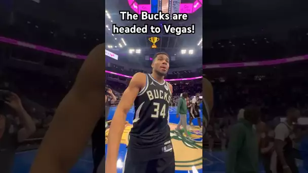 Giannis Antetokounmpo & The Bucks are headed to Vegas!🏆|#Shorts