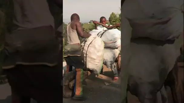 Le Tshukudu, patinette congolaise en bois, peut supporter jusqu'a 500 kg ! #shorts