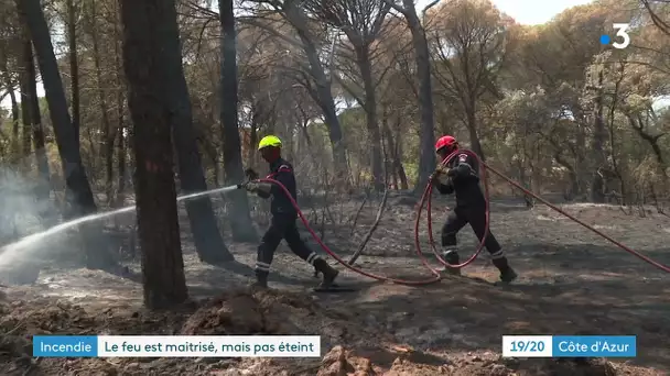 L'incendie sur la Côte d'Azur est maîtrisé, pas encore éteint