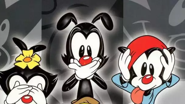 Le grand retour des Animaniacs !