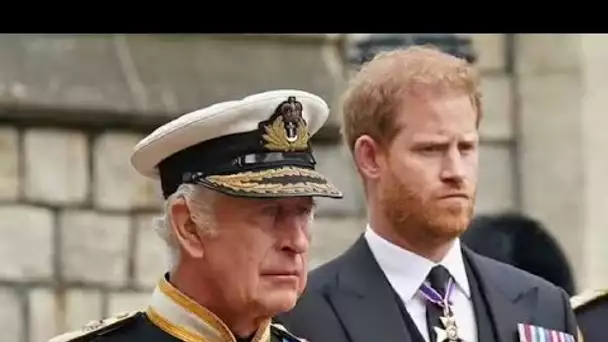 Le roi Charles a refusé de lire les mémoires du prince Harry Spare en raison de leur contenu « bless