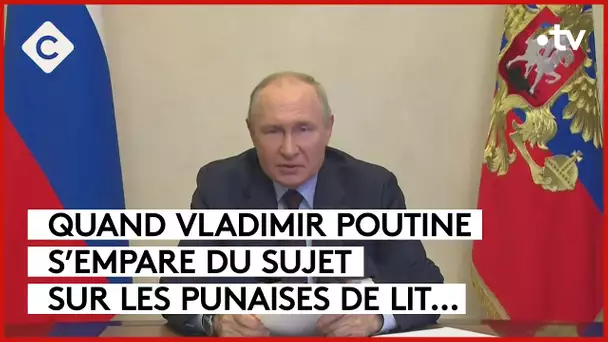 Punaises de lit : la Russie derrière la psychose en France ? - La Story - C à Vous - 02/11/2023