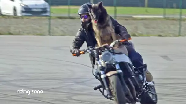 Sports Extrêmes : les chiens aussi savent rider !