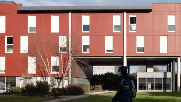 «C'est super stressant» : trouver un logement étudiant, un calvaire pour les parents