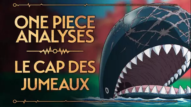 One Piece Analyses # 1 Le Cap des Jumeaux