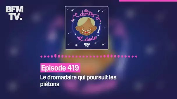 Les dents et dodo - Episode 419: le dromadaire qui poursuit les piétons