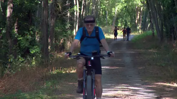 Balades occitanes : la Voie verte de Bédarieux à Mazamet s'ouvre à vous, à pieds, à vélo, à cheval