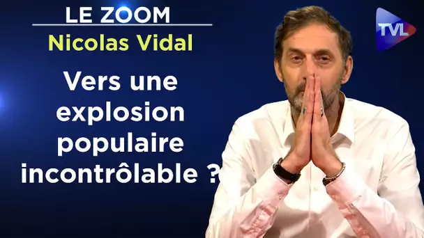 Oligarchie/Peuple français : l'affrontement est inévitable - Le Zoom - Nicolas Vidal - TVL