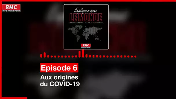 Expliquez-nous le monde - Episode 6 : Aux origines du COVID-19