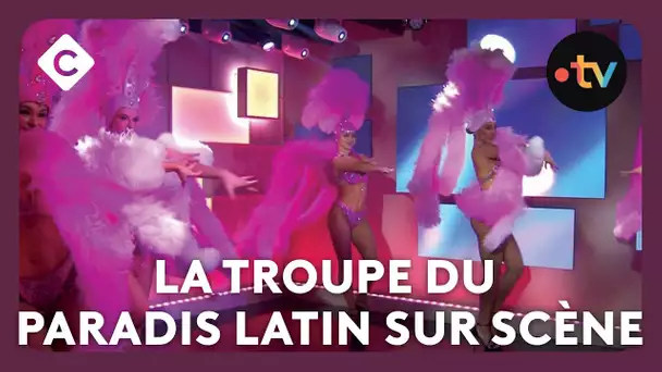 Les danseuses du Paradis Latin font le show en live - C à vous