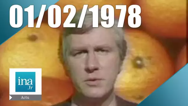 20H A2 du 01 Février 1978 | Des oranges empoisonnées au mercure | Archive INA