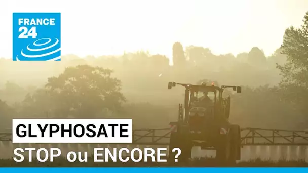 GLYPHOSATE : STOP OU ENCORE ? • FRANCE 24