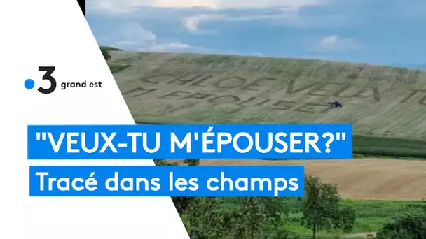 Bas-Rhin : "Chloé veux-tu m'épouser ?" tracé au tracteur dans un champ de Ringendorf