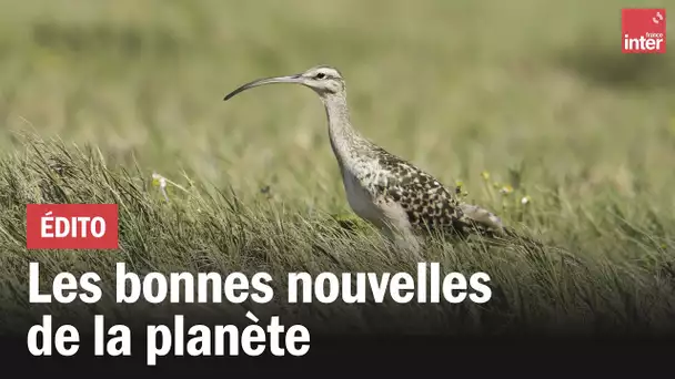 Les bonnes nouvelles de la planète du 22 avril 2022