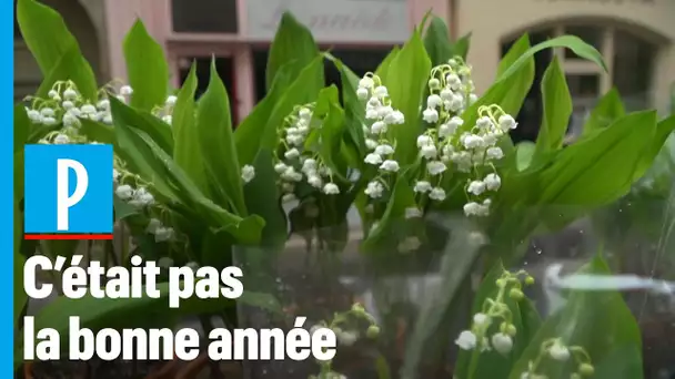 Muguets du 1er mai : « On n'a pas pu profiter » se désole un fleuriste