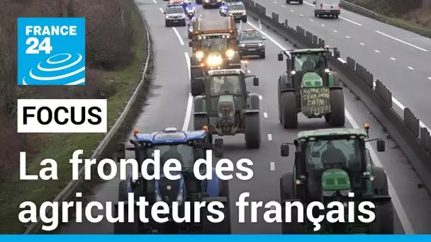 Fronde des agriculteurs français : normes et coût de la vie étouffent les exploitants • FRANCE 24