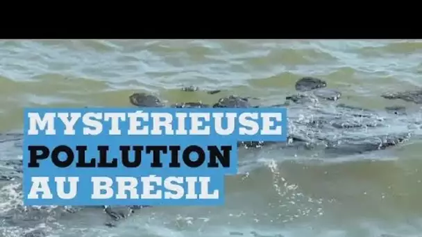 La mystérieuse pollution au pétrole des plages brésiliennes