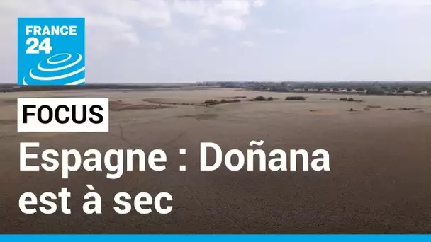 Le parc de Doñana en Espagne est à sec : l’une des plus grandes zones humides d’Europe menacée