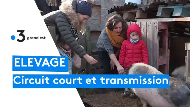 Élevage : "circuit court et transmission" est la devise de cette ferme pédagogique