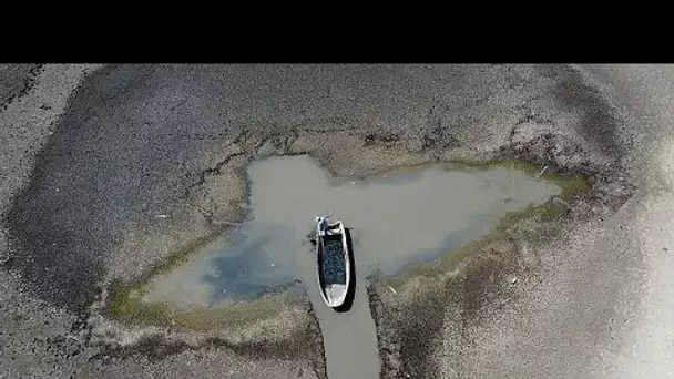 Trois semaines sans une goutte de pluie : les Balkans ont connu l'été le plus chaud depuis plus d…