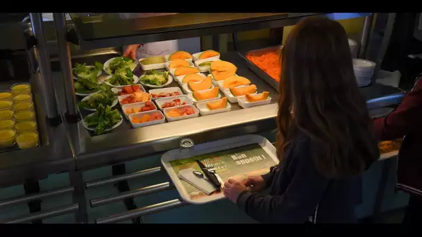 Viande à la Cantine : un camouflet saignant pour Piolle