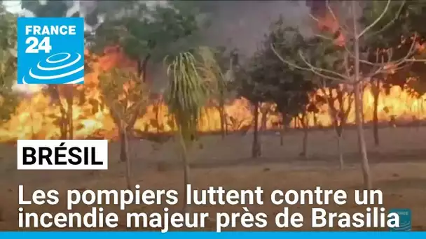 Brésil : les pompiers luttent contre un incendie majeur près de Brasilia • FRANCE 24