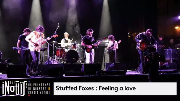 Stuffed Foxes : concert audition régionale "Les Inouïs du Printemps de Bourges 2020"