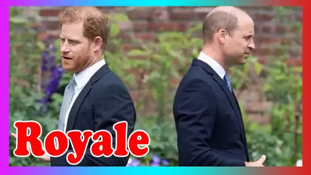 'Furious 'William' ne voulait p@s voir Harry' à son retour au UK – jusqu'à ce que Kate déménage