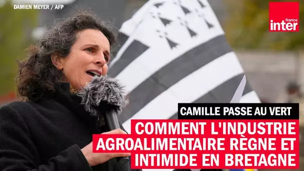 Comment l'industrie agroalimentaire règne et intimide en Bretagne - Camille Passe au Vert